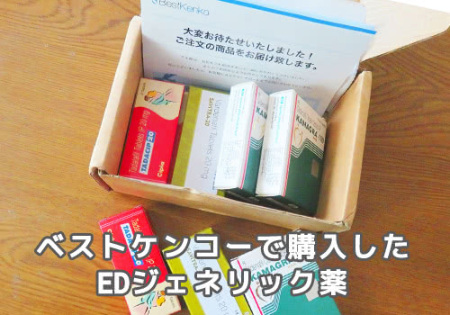 ベストケンコーで管理人が購入した商品の写真